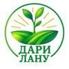 Дари Лану